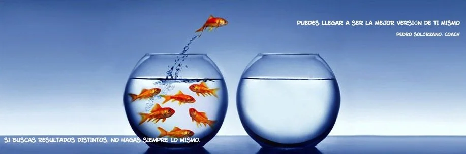 La simplicidad es el secreto