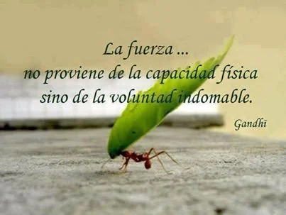 Entrena el alma