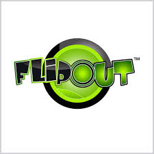 flip out 4.jpeg
