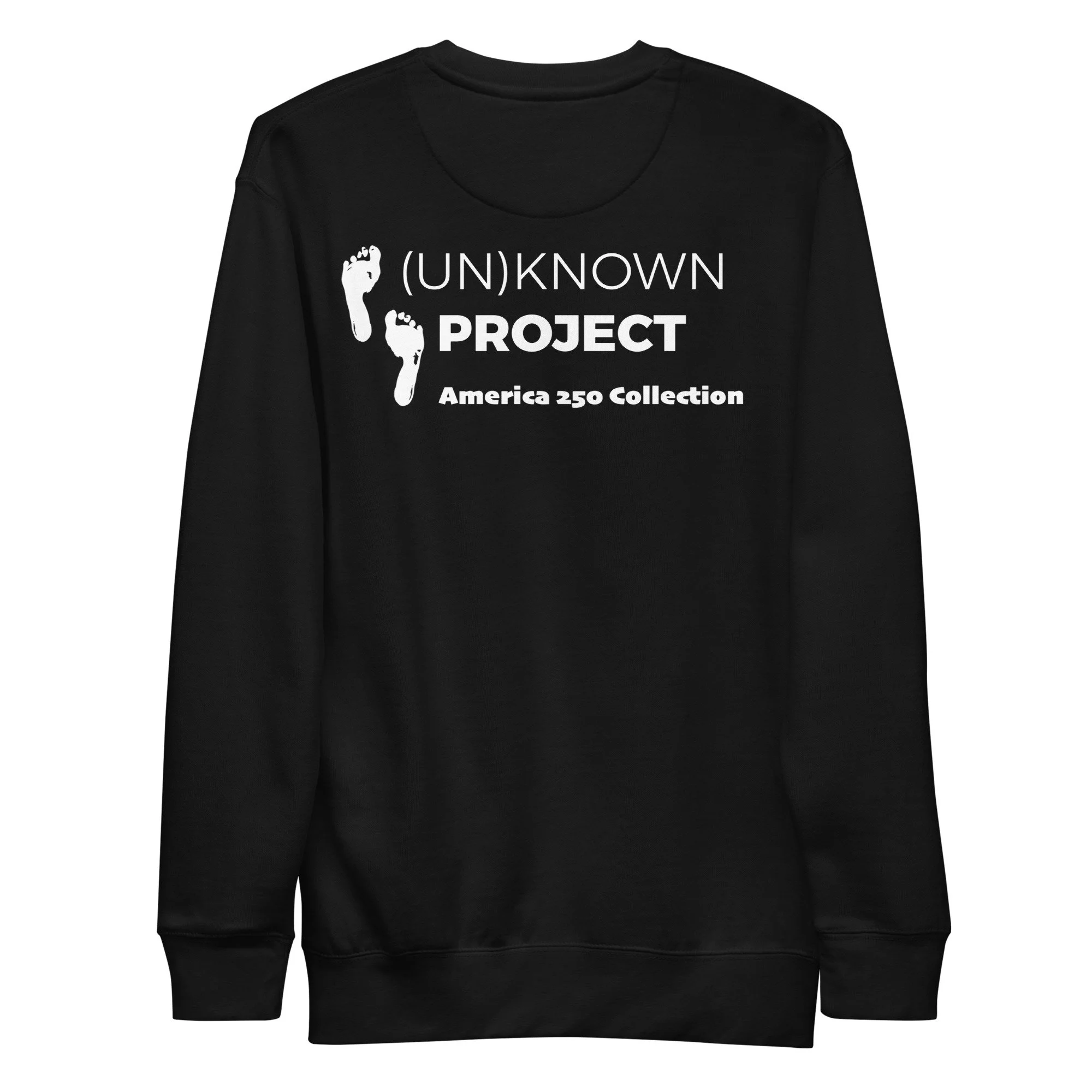 unisex-premium-sweatshirt-black-back-698c7912b0f25.jpg