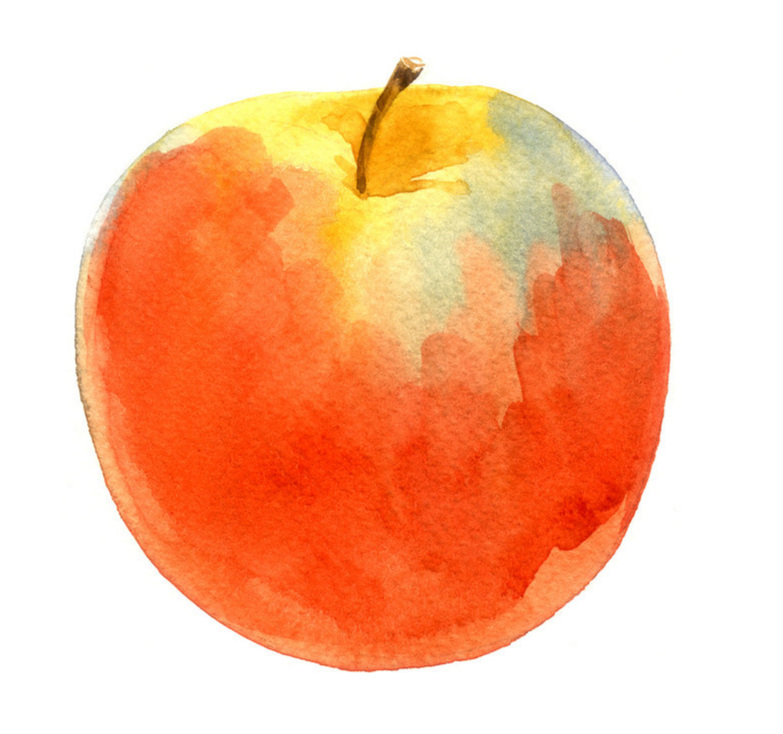 red-apple-watercolor-on-whitebackgroung-596357342_4005x1783.jpg