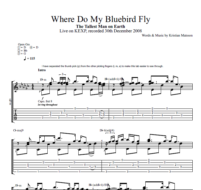 "Where Do My Bluebird Fly" · The Tallest Man on Earth || Guitar: Tab