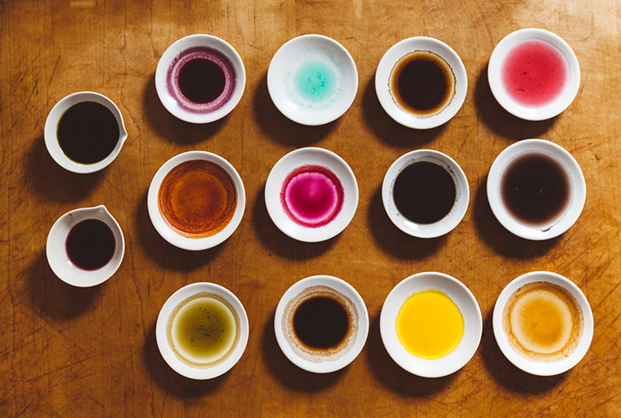 THE COLOUR OF INK - An artist’s quest to make ink with colours foraged in the wild