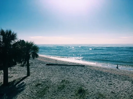 sanibel.jpeg
