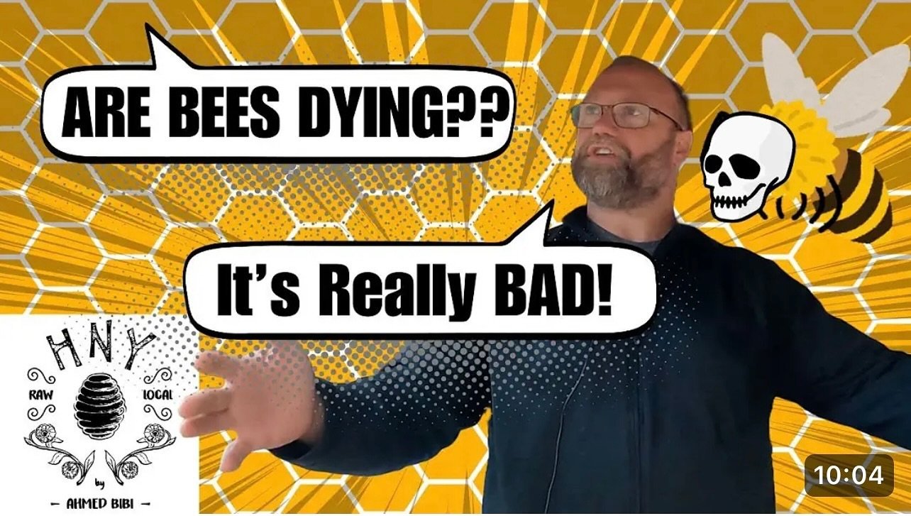 We&rsquo;re doing Gods work out here. We asked one of our beekeepers what the bee situation is looking like and the response was exactly what you expected 😬

HNY by Ahmed Bibi on YouTube