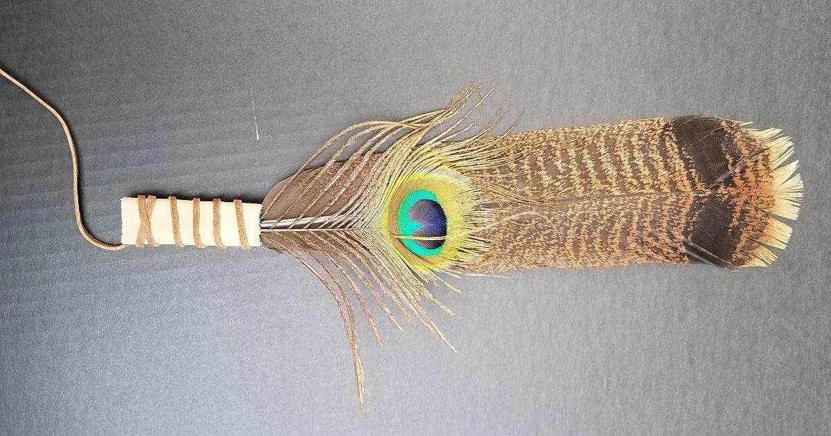 Turkey & Peacock.jpeg