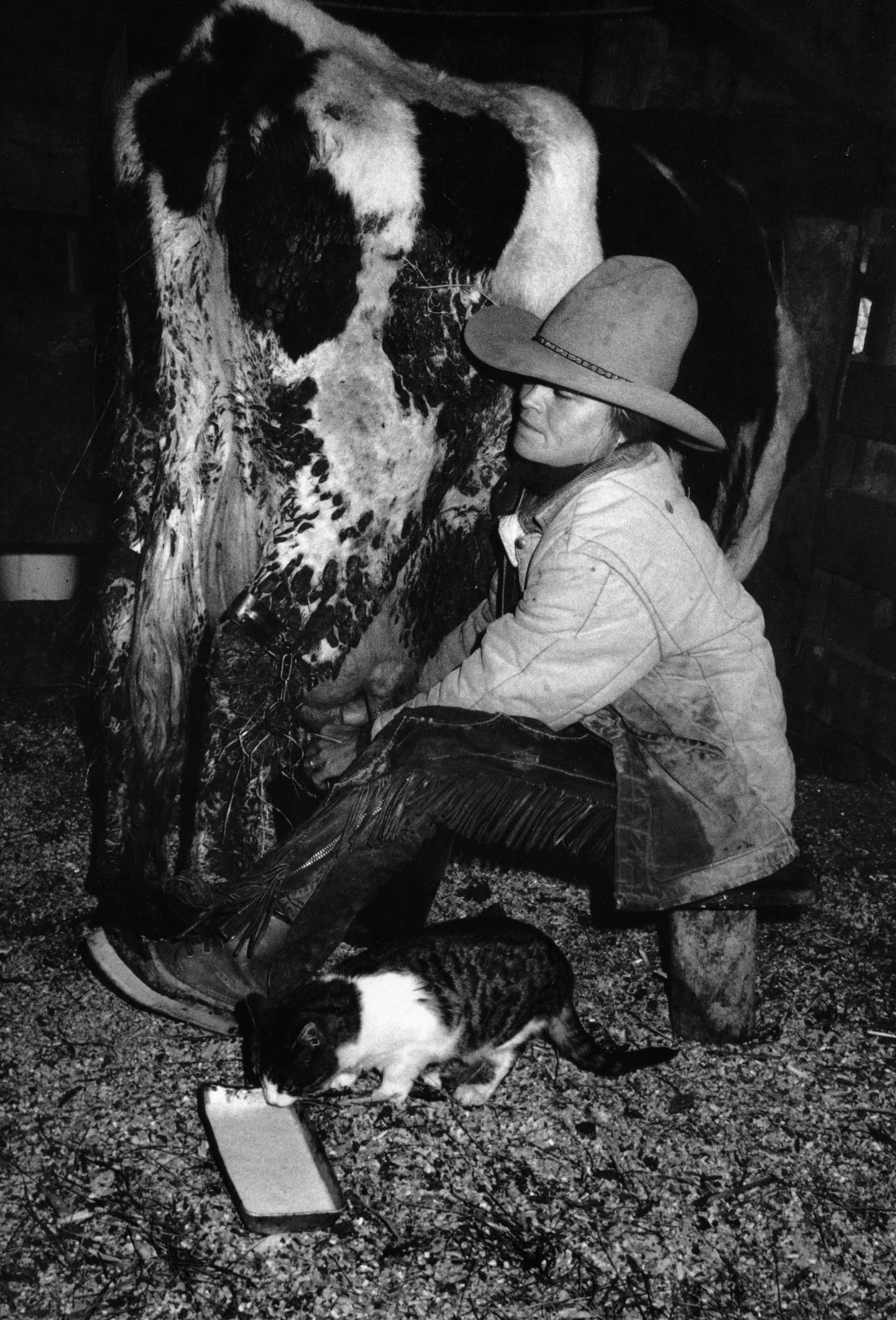 Melody Harding milking.jpeg