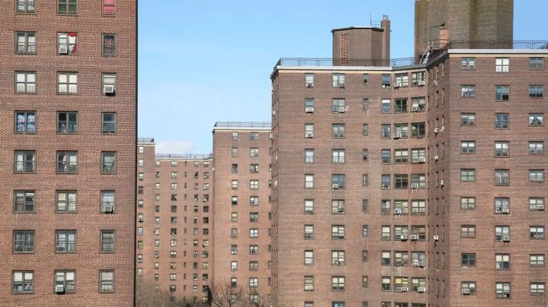 NYCHA LEAD.jpeg
