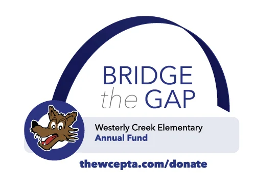 BridgetheGapGraphic.jpg