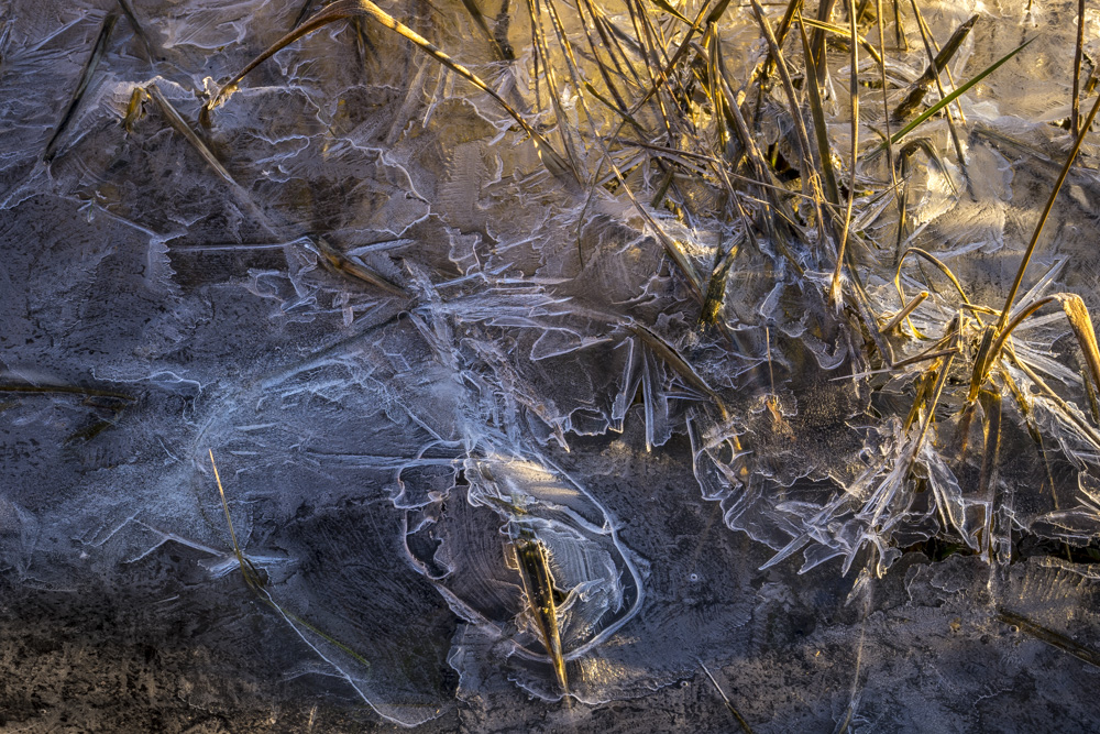  Morning ice in Mystic, Conn. 