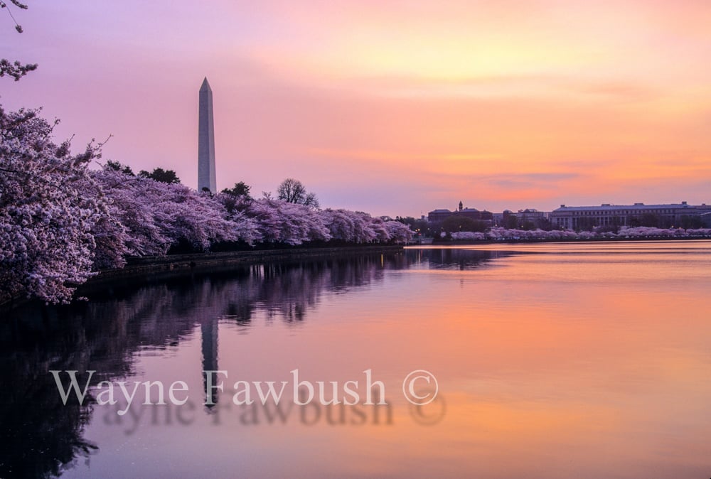 Washington,-D.C.10.jpg