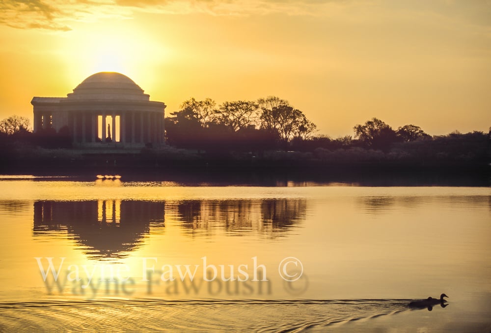 Washington,-D.C.11.jpg