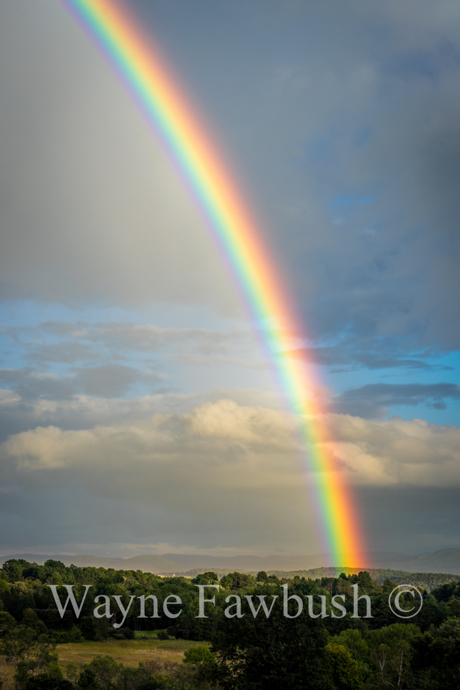 Rainbow-7.jpg