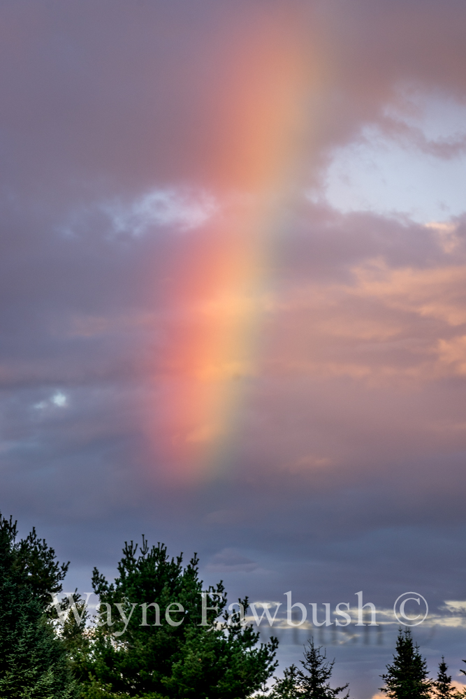 Rainbow-8.jpg