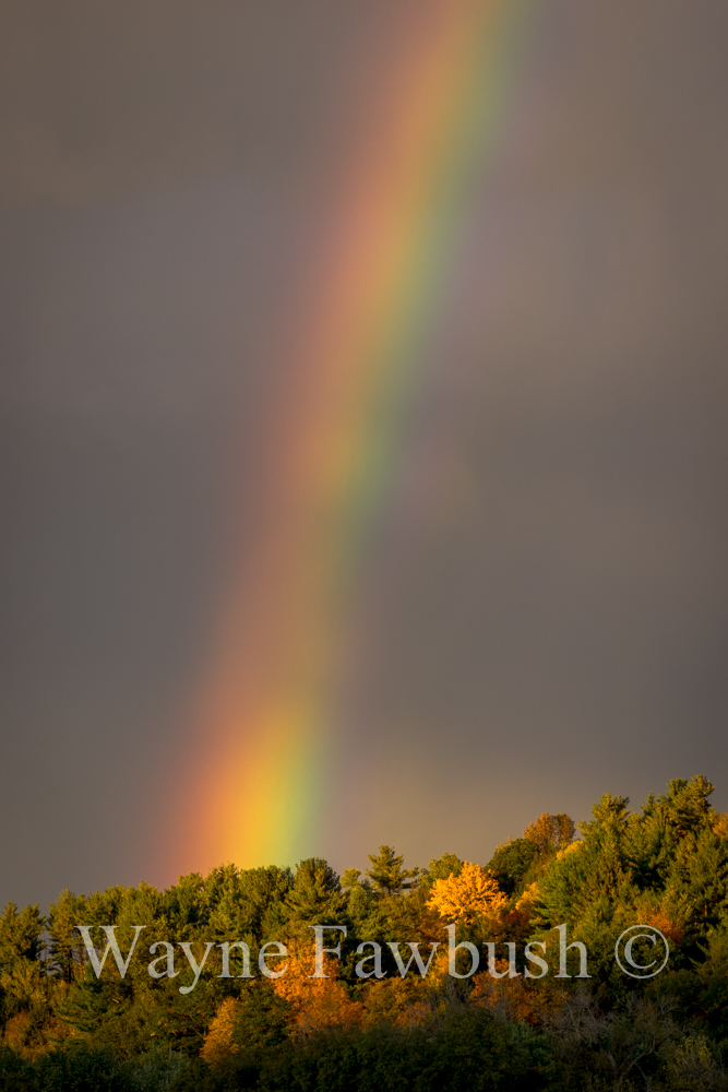 Rainbow-9.jpg