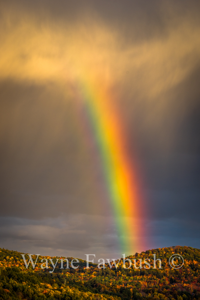 Rainbow-11.jpg