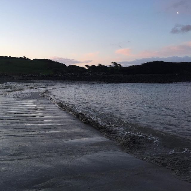 Sunrise at Crewe Bay and it&rsquo;s still pretty windy in the wake of Storm Hannah.
.
.
.
.
.
#colliesofinstagram #morningmeditation #morningmotivation #startthedayright #earlybird #earlystart #sunrise #startoftheday #coast #coastal #seashore #tide #