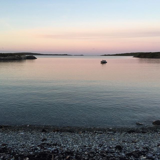 Good morning from Crewe Bay and a pretty fine morning it is.
.
.
.
.
.
#coastalliving #colliesofinstagram #morningmeditation #morningmotivation #morningwalkies #morningwalk #earlybird #earlystart #startthedayright #schull #rescuecollies #wildatlantic