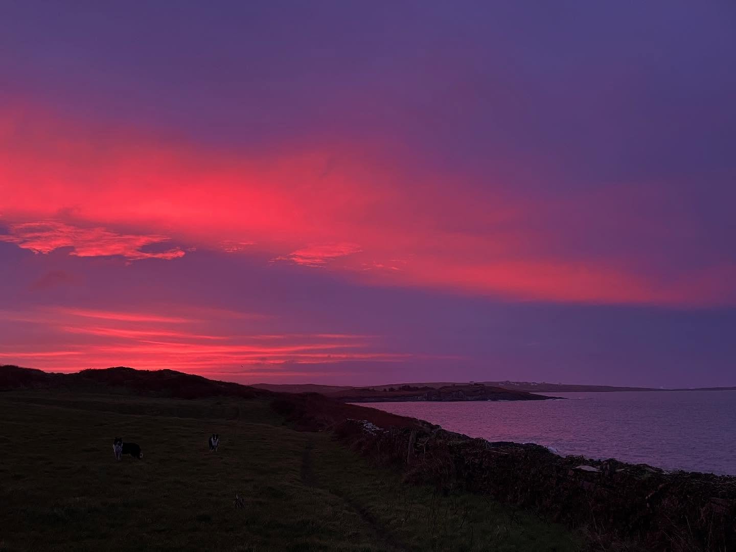 Wednesday morning gave this spectacular, if momentary, sunrise.
Today is starting mizzly and blustery.
.
.
.
#spectacle #spectacularsunrise #sunrise #redskyinthemorning #starttheday #westcork #waw
