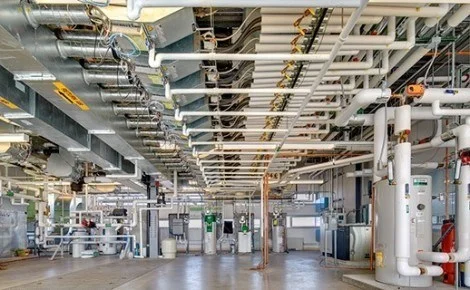 Green office environments linked with higher cognitive function scores