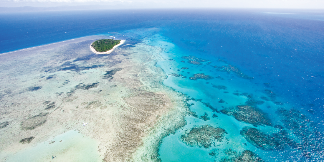 The Great Barrier Reef in Queensland, Australia, is one of the most biodiverse places on Earth.