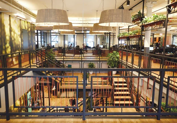 The World According to WeWork