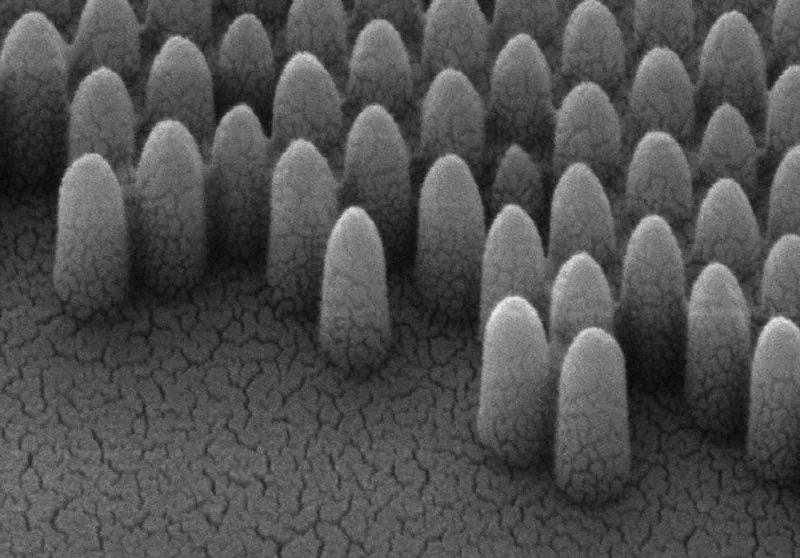 New Nano-Engineered Window That Will Clean Itself And Cut Office Heating Bills