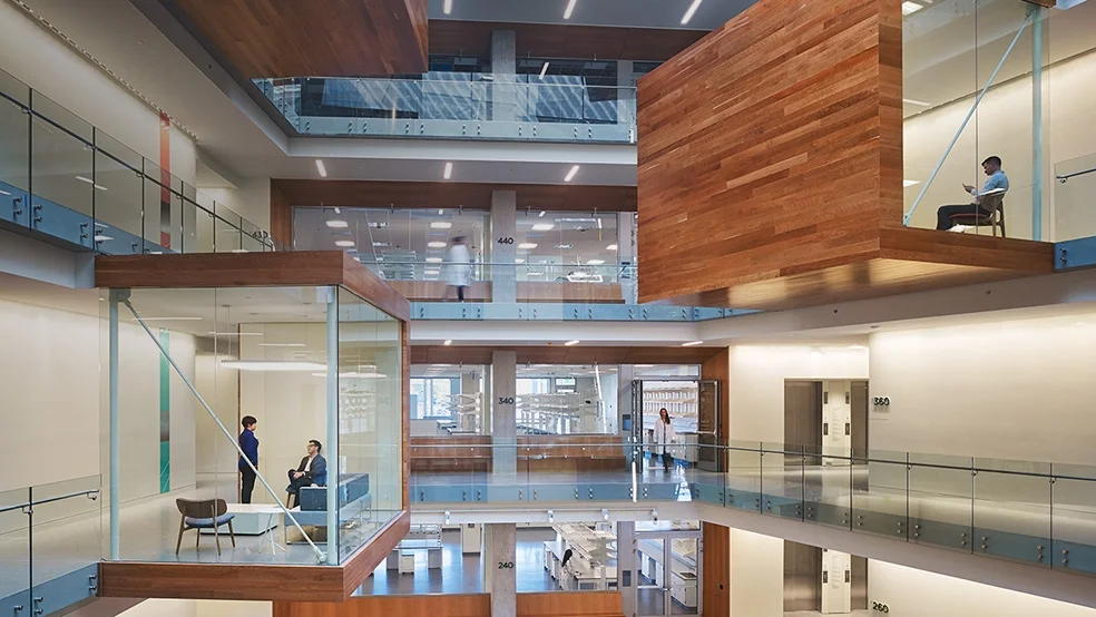 Building Knowledge: Creating a Network of Discovery at Perkins+Will