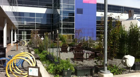 WHY A GOOGLE OFFICE WON’T WORK FOR YOU