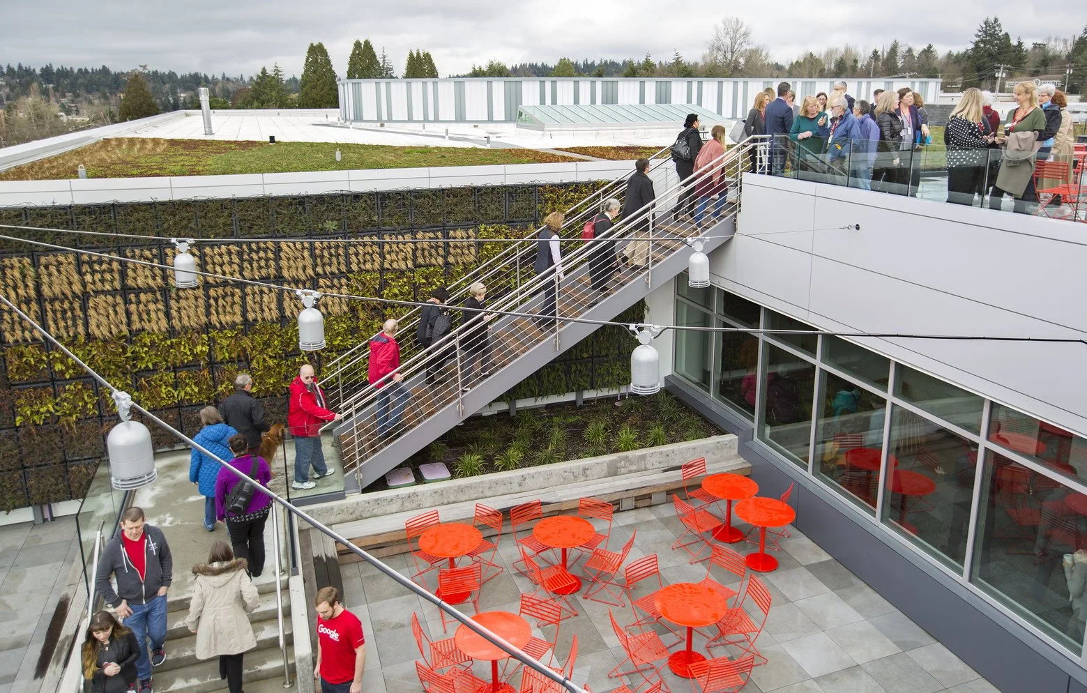Google Kirkland’s new building: giant nest, nap caves and more