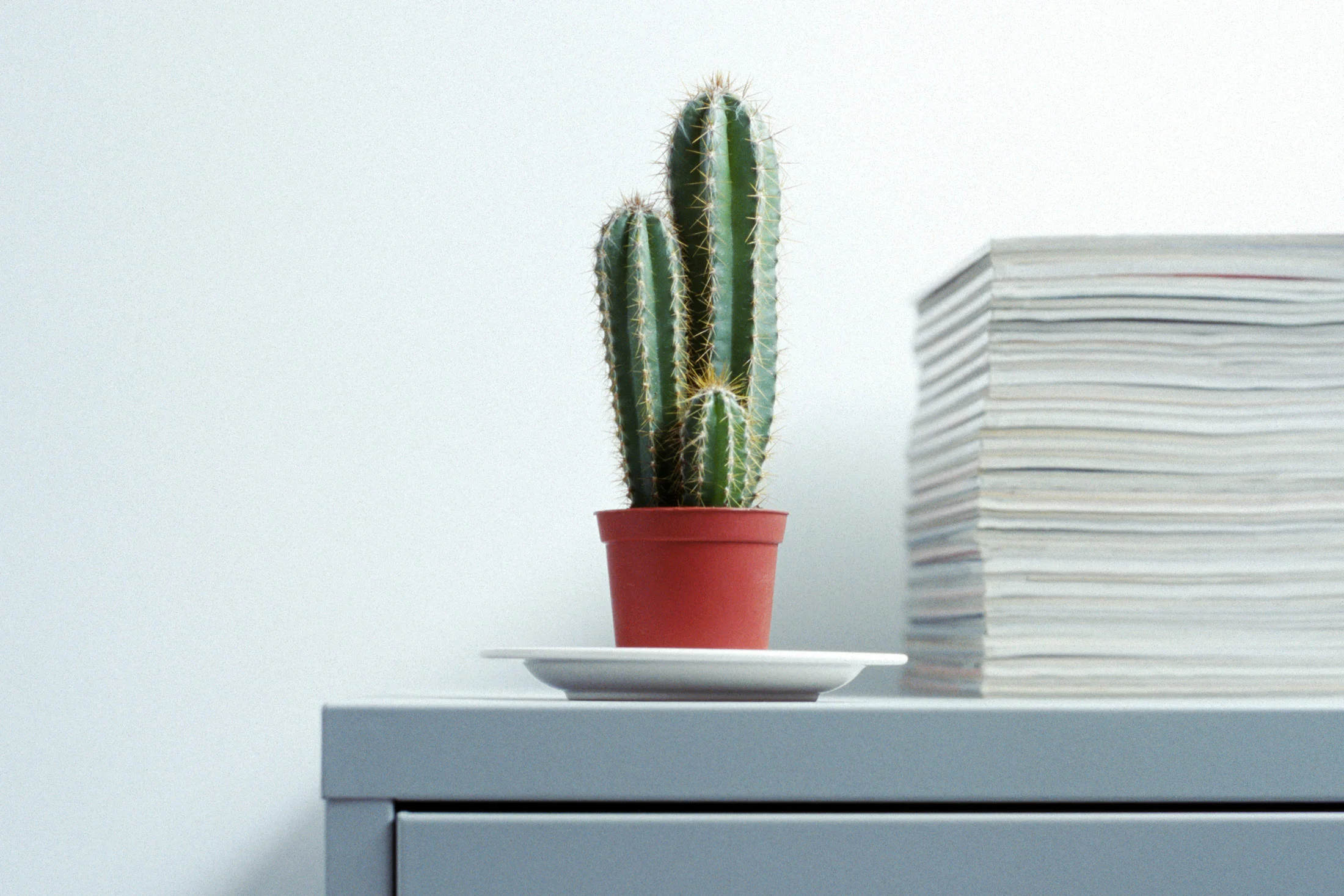 The Science Behind a Perfectly Productive Cubicle