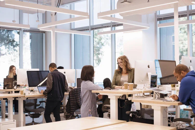 3064378-slide-9-instagrams-new-offices.jpg