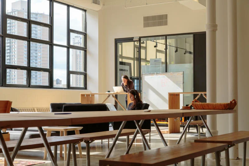 Frog's New Office Is Designed To Protect Its Most Secretive Clients