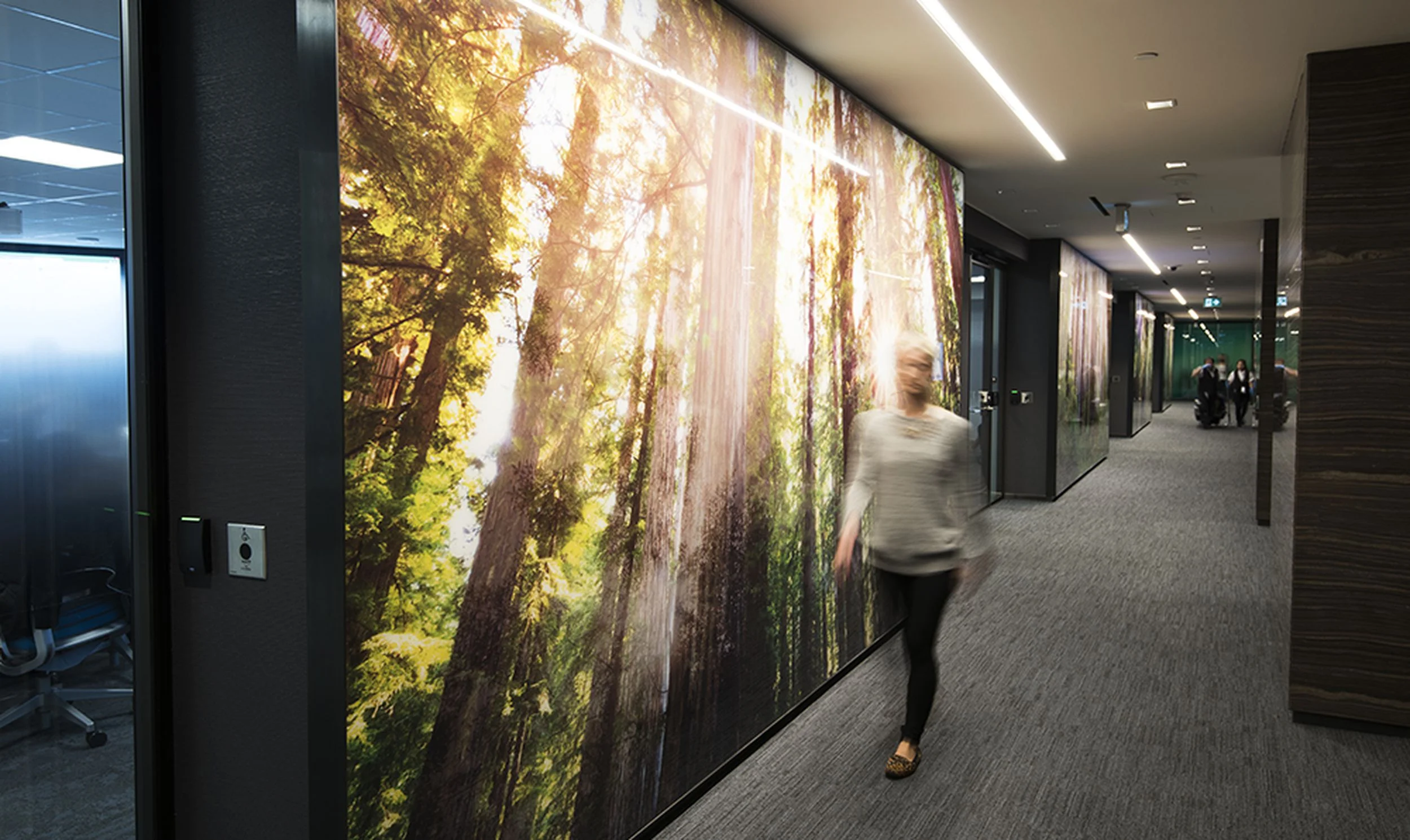 5 WAYS TO ENHANCE WORKPLACE EXPERIENCE WITH GRAPHICS