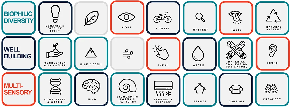 MULTISENSORY DESIGN: THE EMPATHY-BASED APPROACH TO WORKPLACE WELLNESS