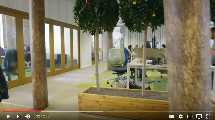WATCH: +Positive spaces | Friends of the Earth