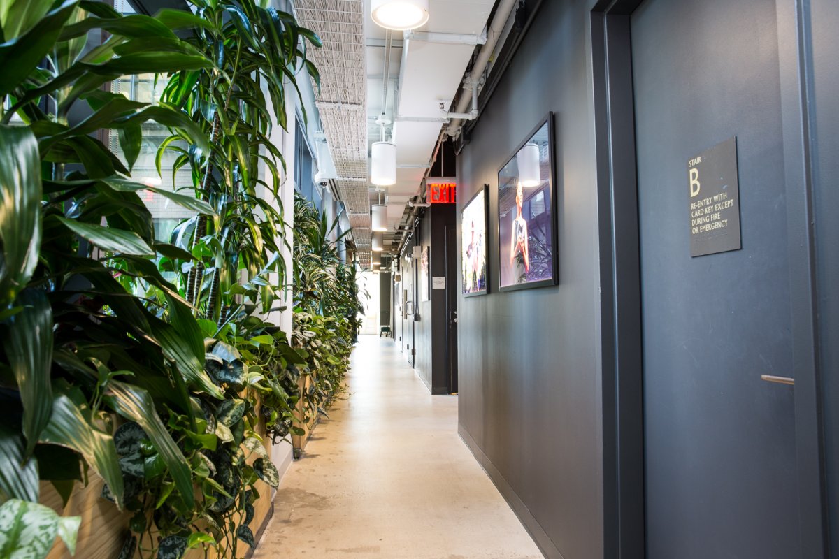 ted-occupies-two-floors-in-an-office-building-located-in-new-yorks-soho-neighborhood-it-looks-into-the-atrium-so-ted-installed-high-reaching-plants-to-shield-people-from-the-view.jpg