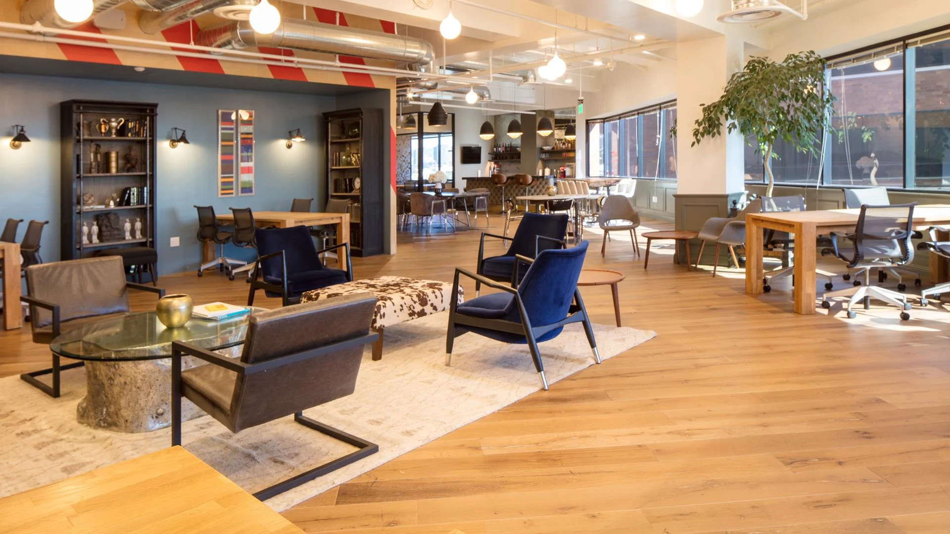 How Using a Co-Working Space Changed the Way I Think About Productivity