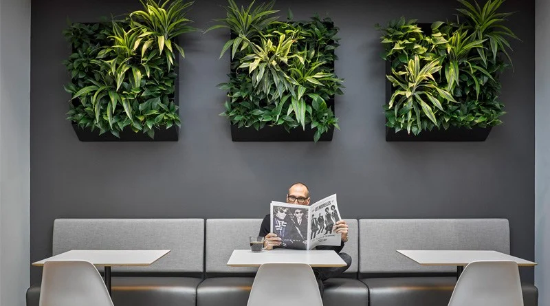 Beyond Health & Wellness: Designing Interiors for Human Thriving