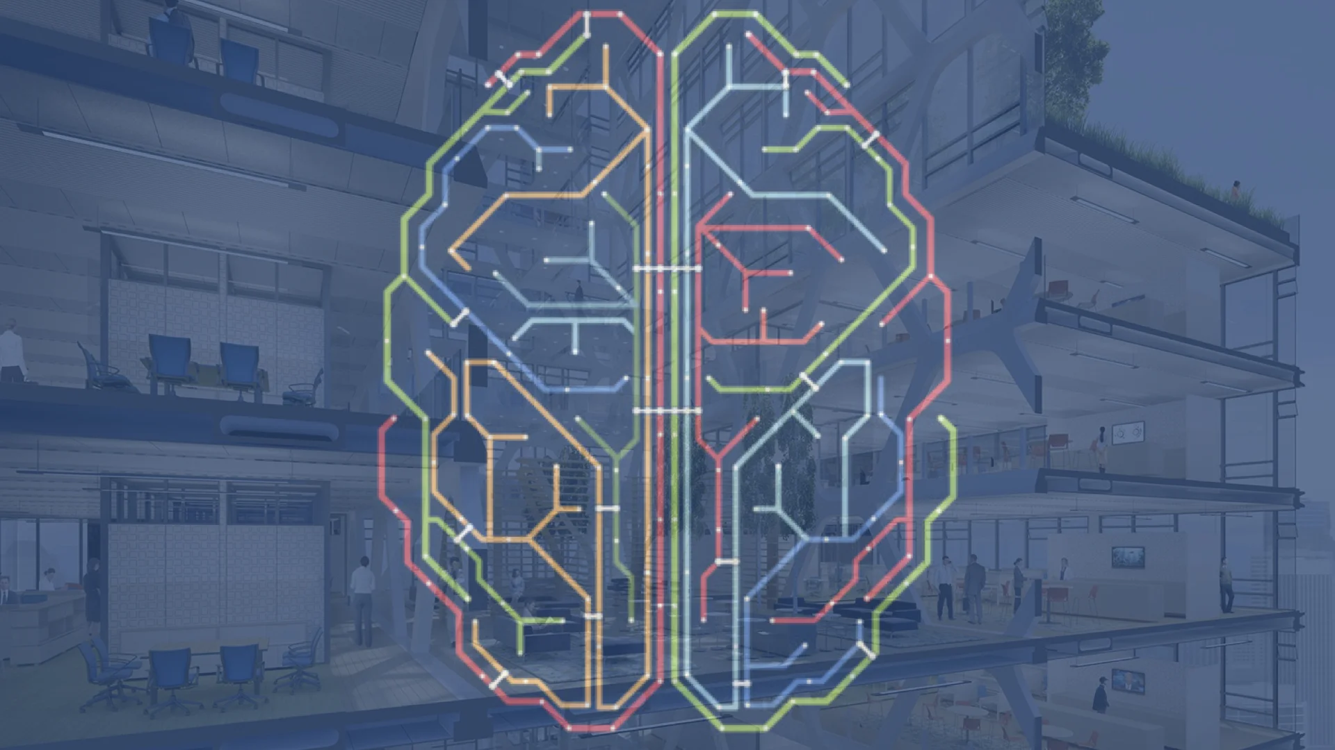 Watch: When Neuroscience Meets Office Optimization