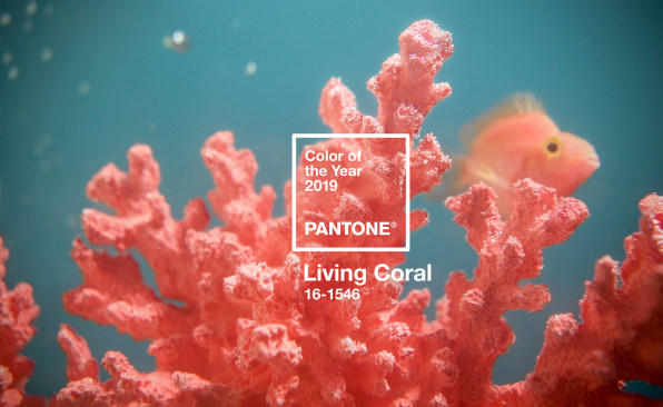 3-90272442-pantoneand8217s-color-of-2019-is-the-color-of-resistance.jpg