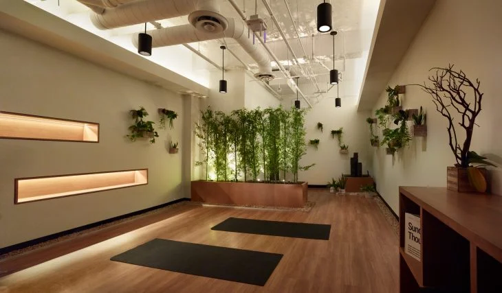 Pragmatic Wellness Interventions To Existing Workspaces