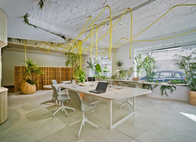 Garden-for-Work-office-WOHA-Architecture-6-810x587.jpg