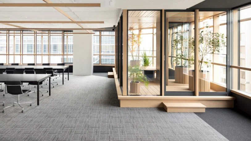 5-this-gorgeous-office-is-like-working-in-a-forest-813x457.jpg