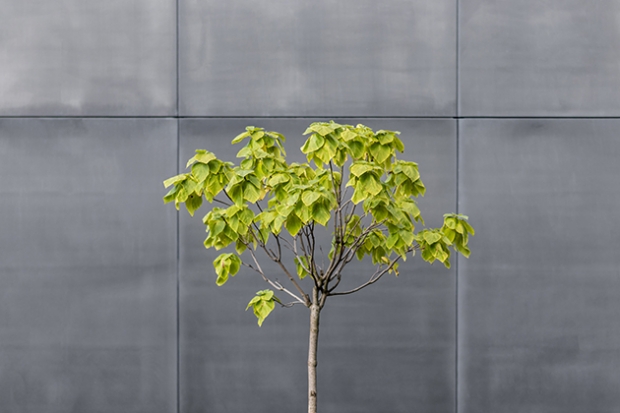 Climate change means green offices need to become the norm