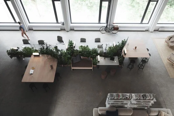2-biophilic-design-for-office-spaces.jpg