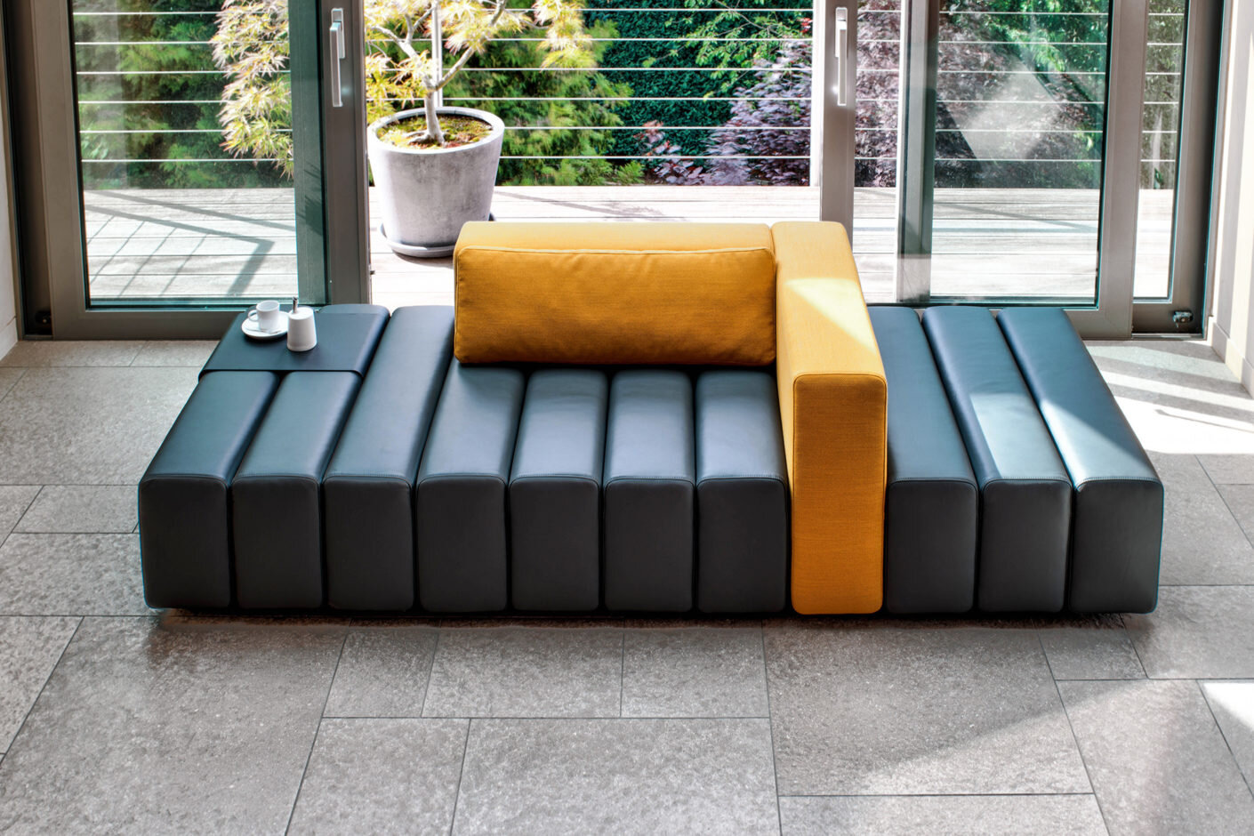 Master of metamorphosis