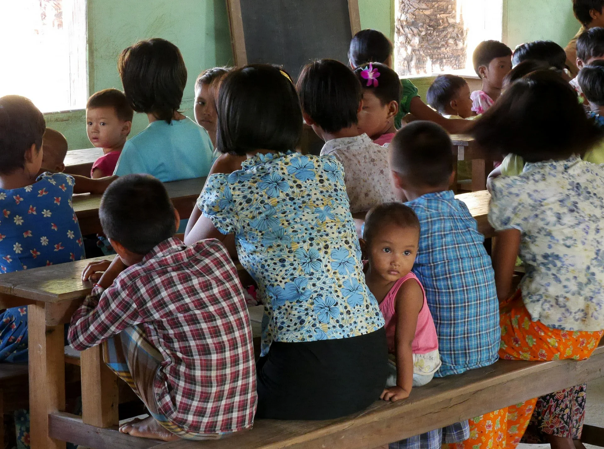 ngo-header.jpg
