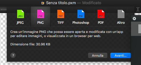07- pixalmator menu esportazione.png