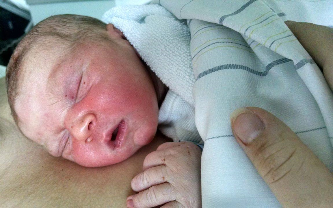 Günther just out of delivery; hard to believe how much he has grown in just the first couple of weeks!